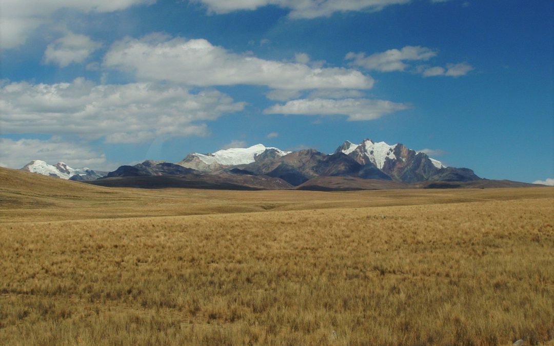 Passo cercando la Freschezza